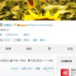 Xiaomi Weibo