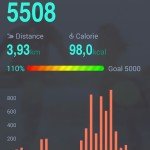 iBody Fitness Tracker