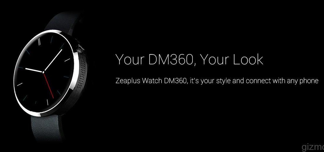 Zeaplus DM360