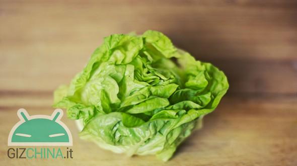 lettuce-590x330-caf8f5289dc4bbfb715a1f25e178be7d35c0b850