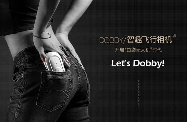 Dobby-6