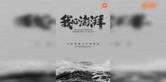 Xiaomi Pinecone teaser