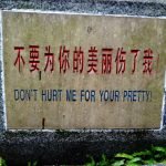 Cina traduzioni Chinglish