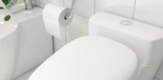 Xiaomi Whale Wash Smart Toilet Pro
