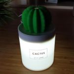 xiaomi cactus 4