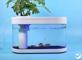 xiaomi fish tank