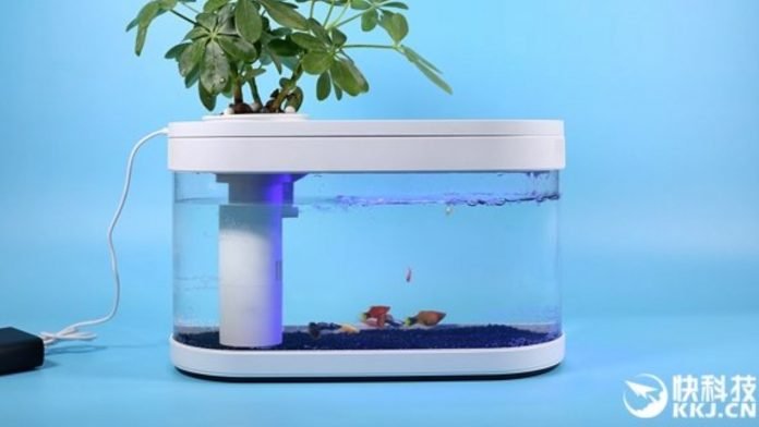 xiaomi fish tank