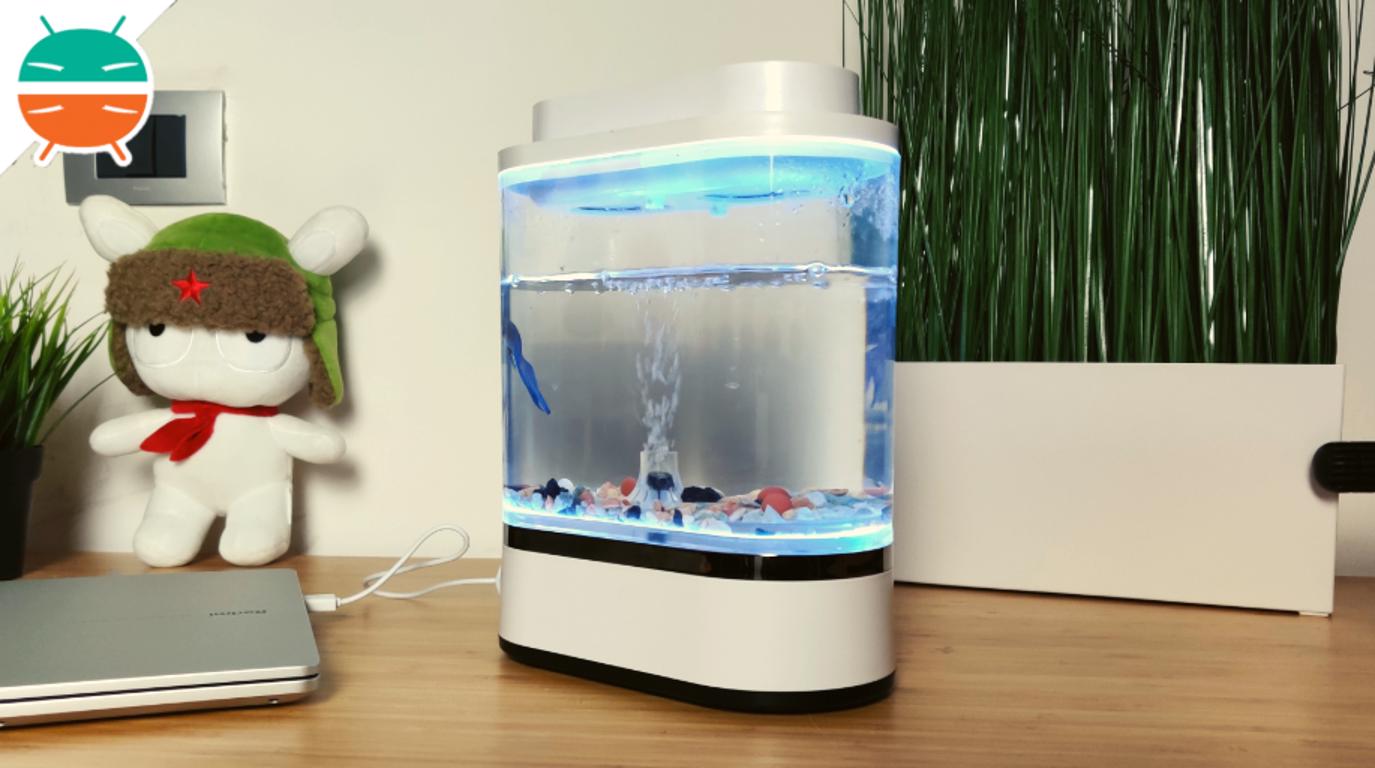 Ulasan Xiaomi Geometry Mini Lazy Fish Tank: akuarium desain untuk meja Anda 5