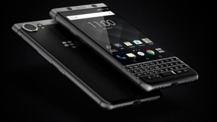 blackberry