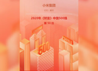 xiaomi top 50 fortune china 500 servizi internet