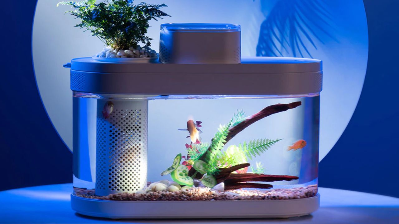 Xiaomi fish. Аквариум Сяоми 10 литров. Аквариум Mijia Fish Tank. Mijia Smart Fish Tank. Xiaomi Mijia Smart Fish Tank.