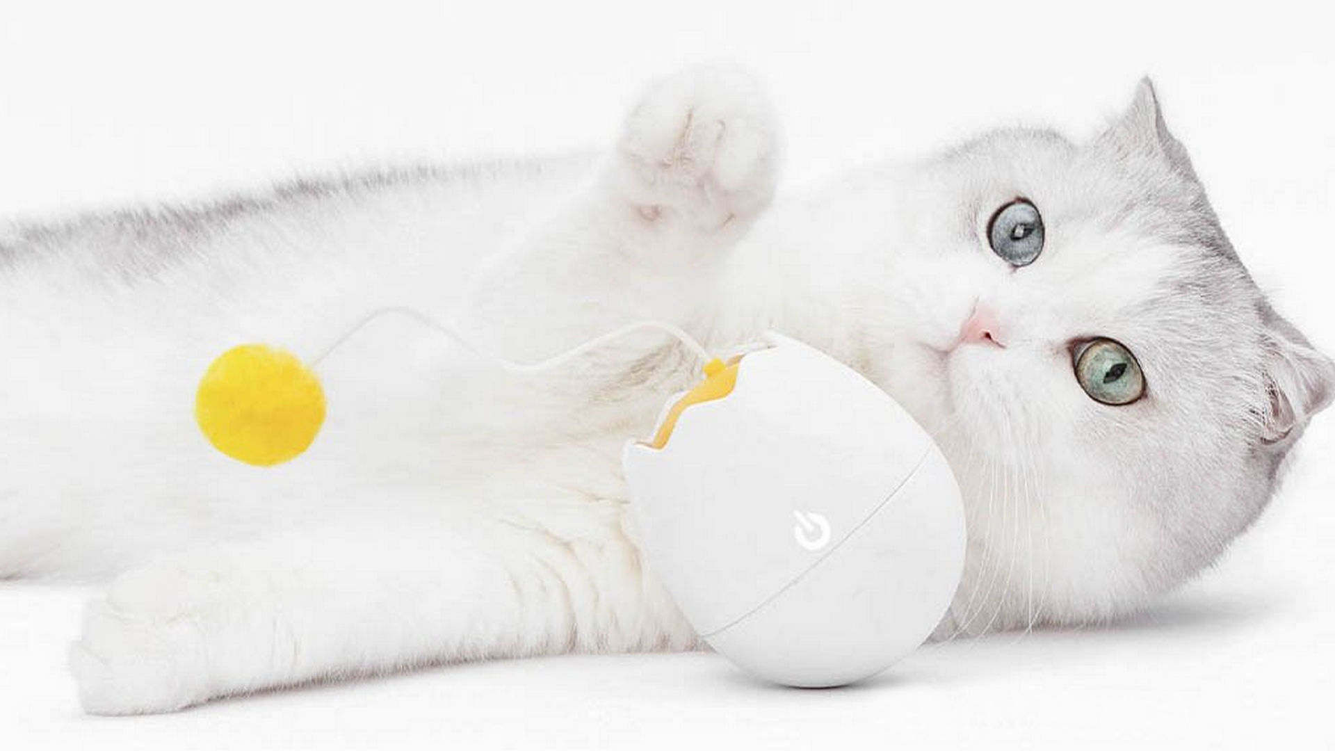 Mai più gatti annoiati con questo gadget Xiaomi Furrytail 