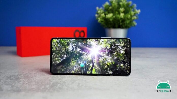 oneplus 8t display dxomark