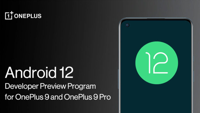 oneplus 9 pro android 12 beta