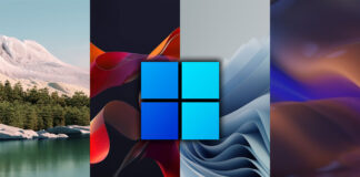 microsoft windows 11 sfondi ufficiali download