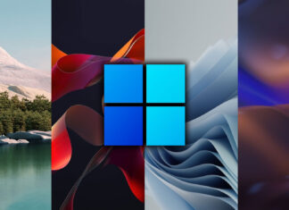 microsoft windows 11 sfondi ufficiali download