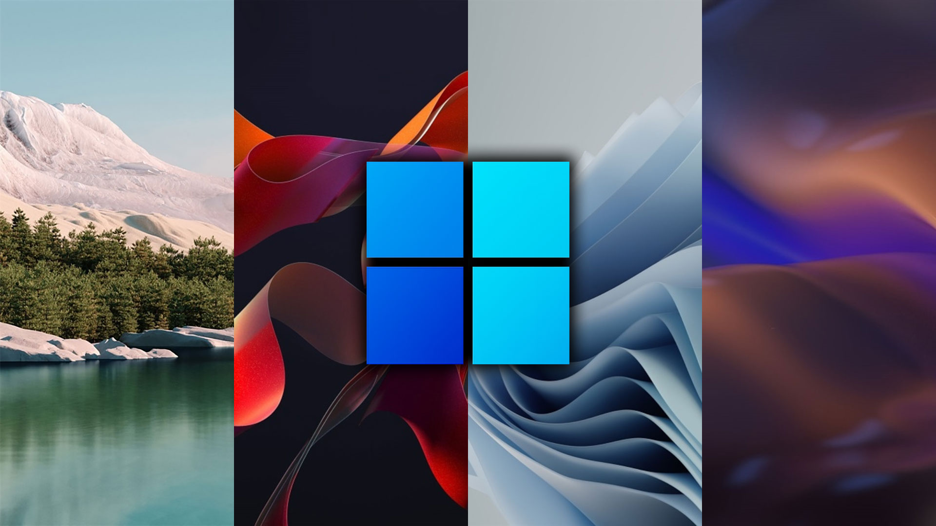 Windows 11: download the official wallpapers | Download 