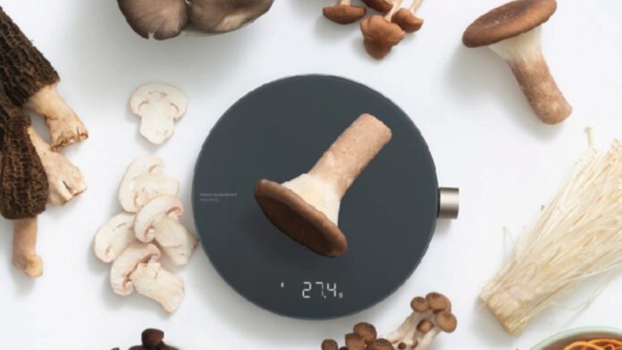 hoto smart kitchen scale bilancia cucina intelligente offerta prezzo