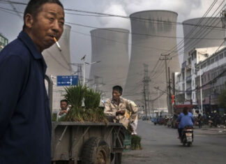 cina centrale nucleare crisi energetica