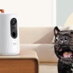 eufy pet dog cam telecamera sorveglianza cani prezzo