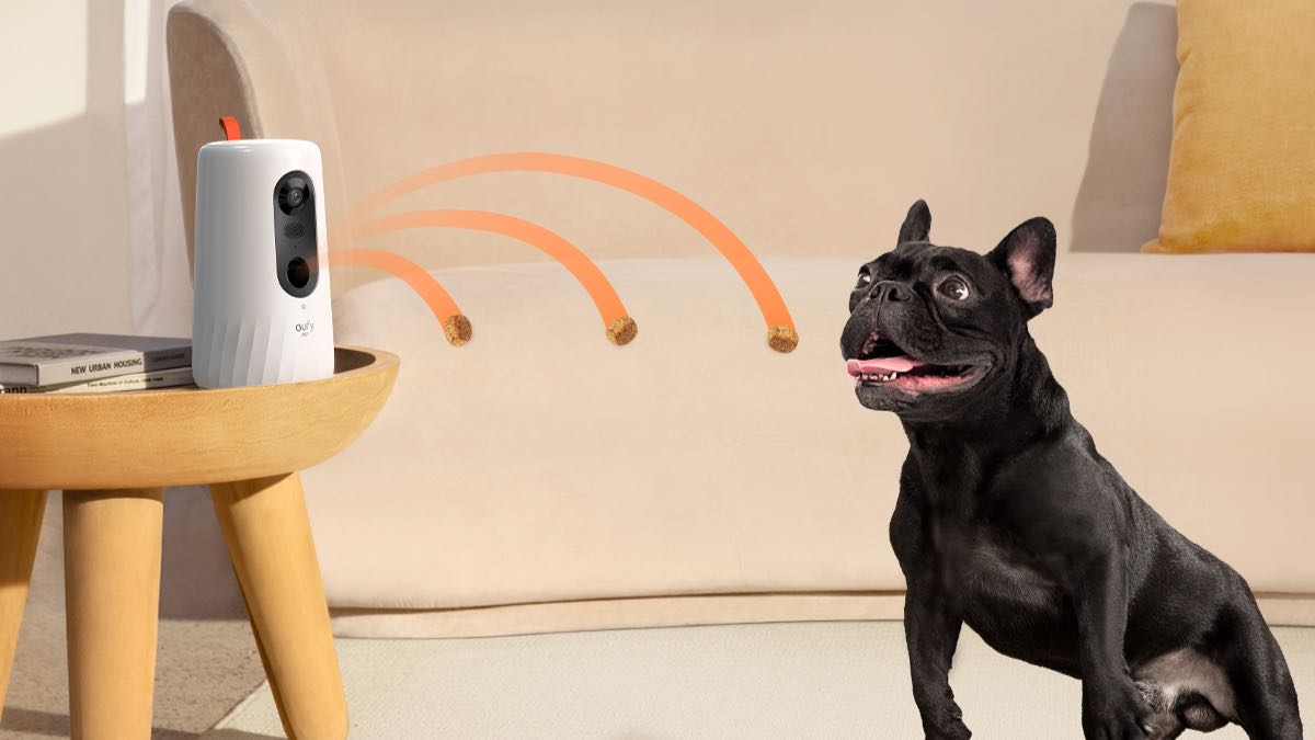eufy pet dog cam telecamera sorveglianza cani prezzo 2