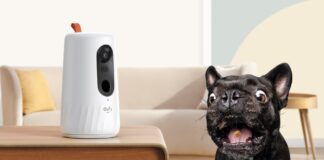 eufy pet dog cam telecamera sorveglianza cani prezzo