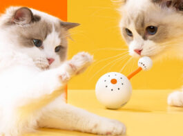 xiaomi youpin giocattolo per gatti smart