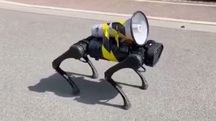 cina droni robot pandemia