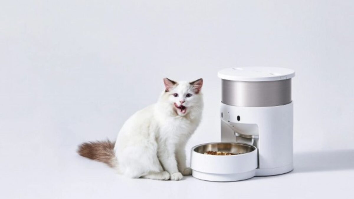Lettiera autopulente distributore cibo automatico prodotti smart cane e gatto