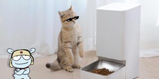 Xiaomi Smart Pet Food Feeder codice sconto ciotola dispenser cani gatti