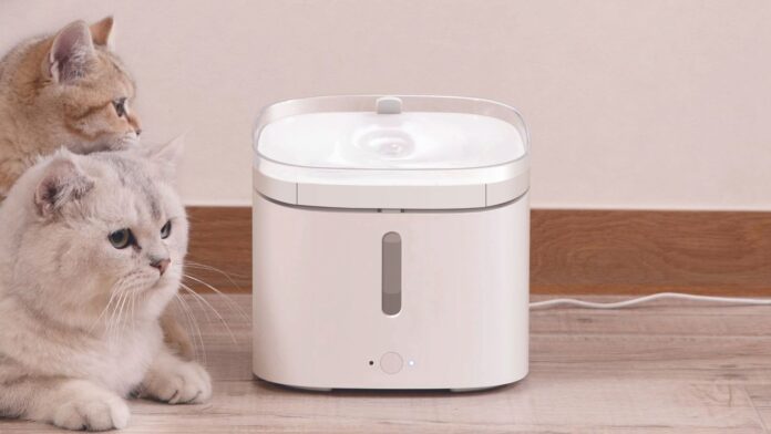 Xiaomi Smart Pet Food Feeder Fountain caratteristiche uscita prezzo