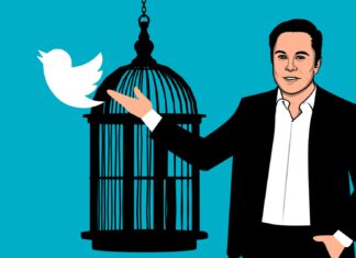 Elon Musk vuole comprare Twitter