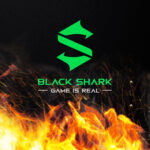 black shark licenziamenti