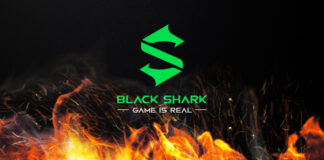 black shark licenziamenti