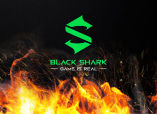 black shark licenziamenti