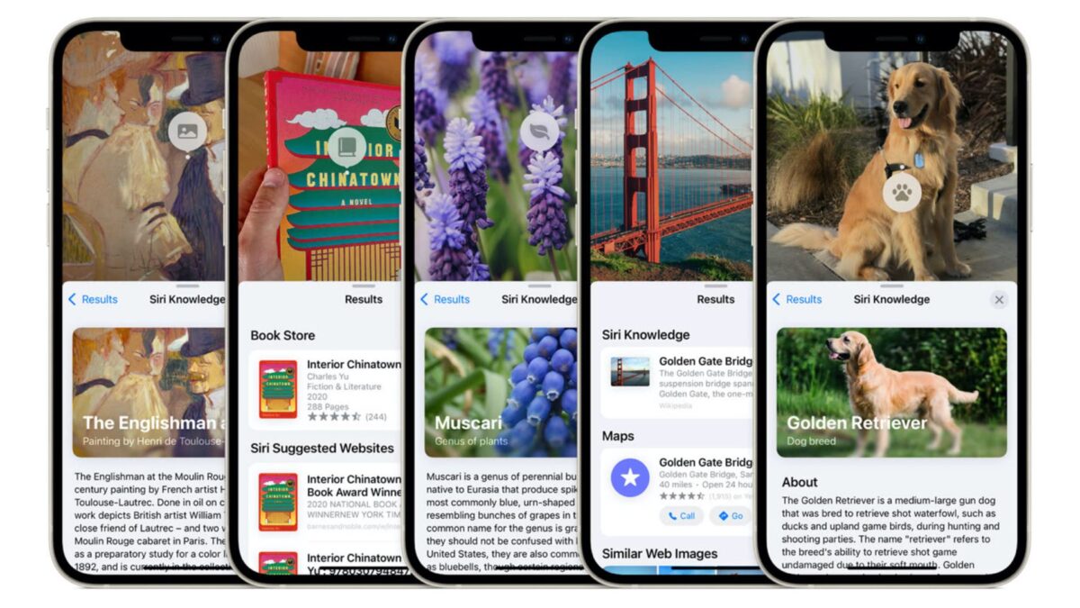 Apple iOS 15 Ricerca visiva iPhone come funziona