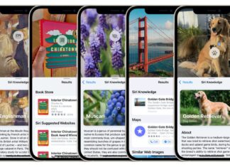 Apple iOS 15 Ricerca visiva iPhone come funziona