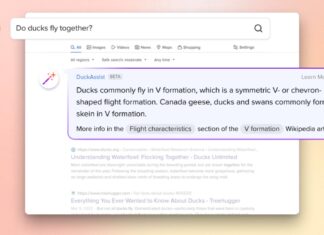 DuckDuckGo DuckAssist ChatGPT