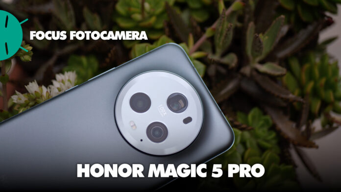 focus fotocamera honor magic 5 pro
