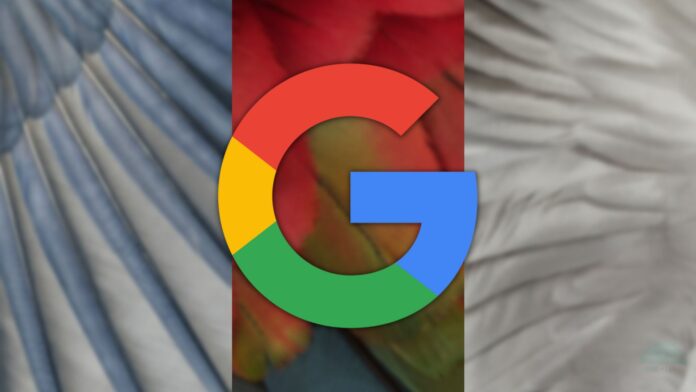 Google pixel 7a sfondi ufficiali wallpaper download