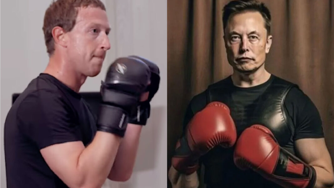 Its Not A Hoax Elon Musk And Mark Zuckerberg Want To Fight In The Cage Gizchinait