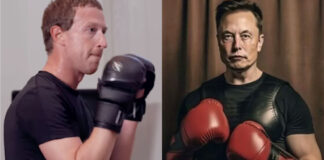 elon musk vs mark zuckerberg