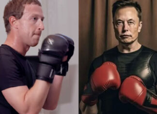 elon musk vs mark zuckerberg