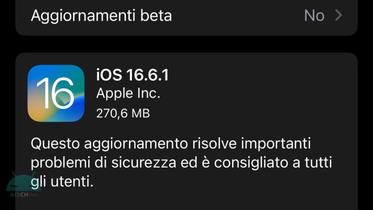iOS 16.6.1
