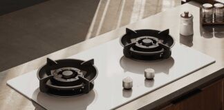 Xiaomi Mijia Smart Gas Stove S2