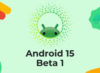 Android 15 Beta 1