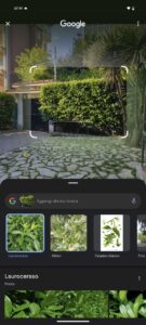 Recensione Google Pixel 8a migliore smartphone economico compatto display fotocamera prestazioni promozioni prezzo sconto italia coupon