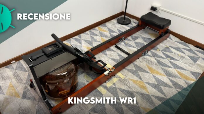 KingSmith WR1