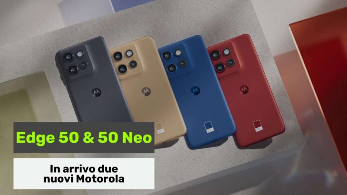 motorola edge 50 neo