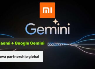 Xiaomi Gemini